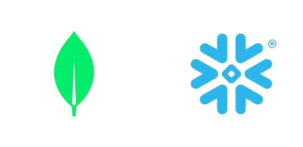 Snow Flake, Mongo DB